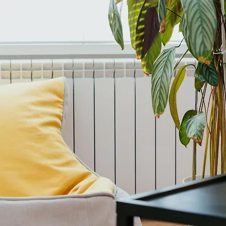 Apartment Color Corneliu Coposu 1a Street