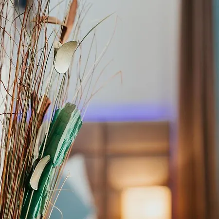 Color Corneliu Coposu 1a Street Apartament *