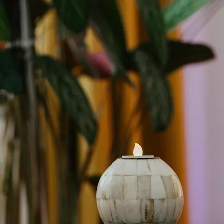 Color Corneliu Coposu 1a Street *