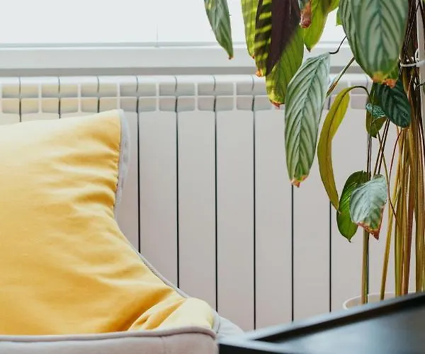 Apartament Color Corneliu Coposu 1a Street