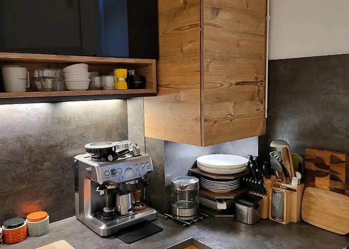 Color Corneliu Coposu 1a Street 公寓 *